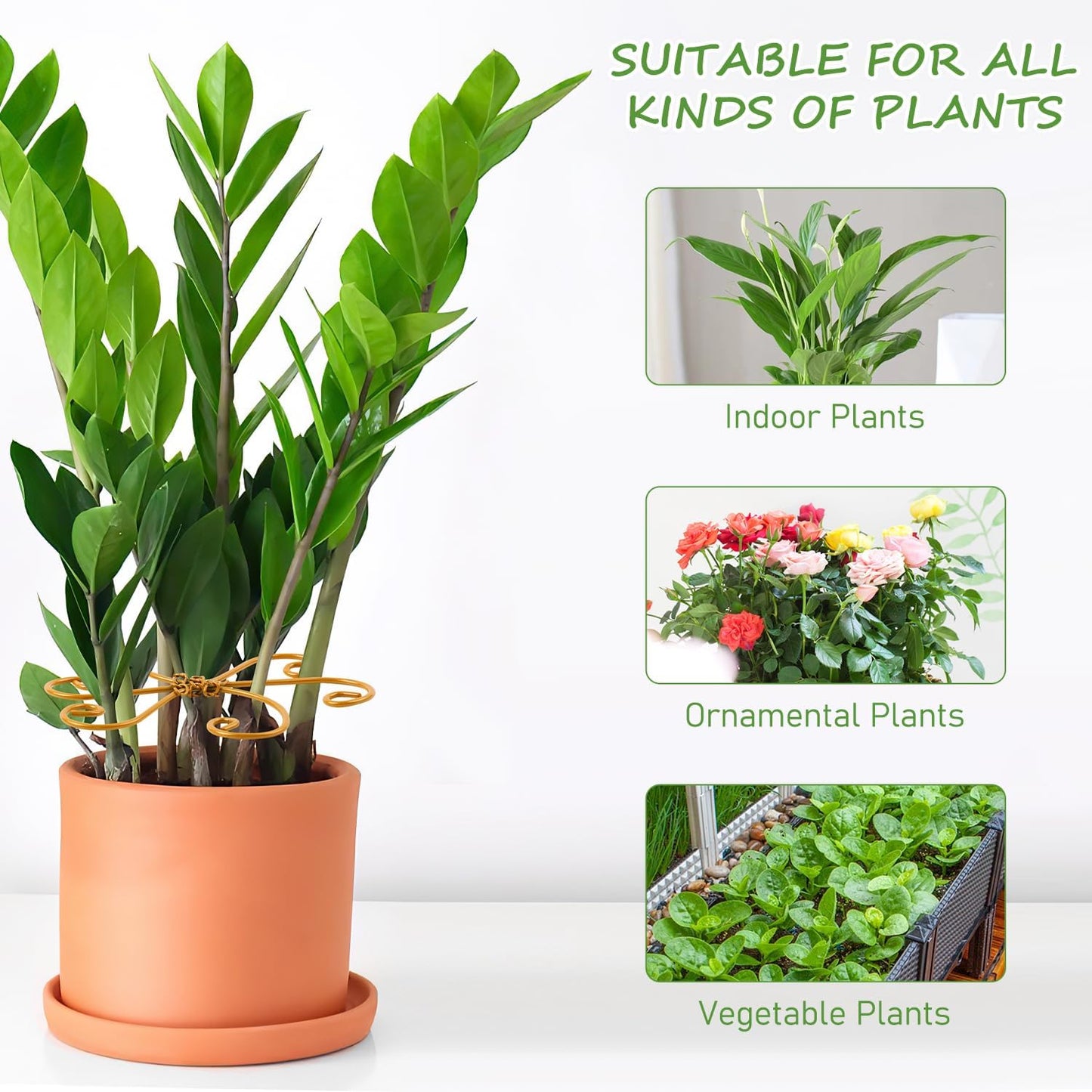4-Pack Plant Stem Support, Plant Stabilizer for Indoor Plants, Monstera Plant Support System, Plant Stem Holder for Fixing Green Plants and Vines (A)