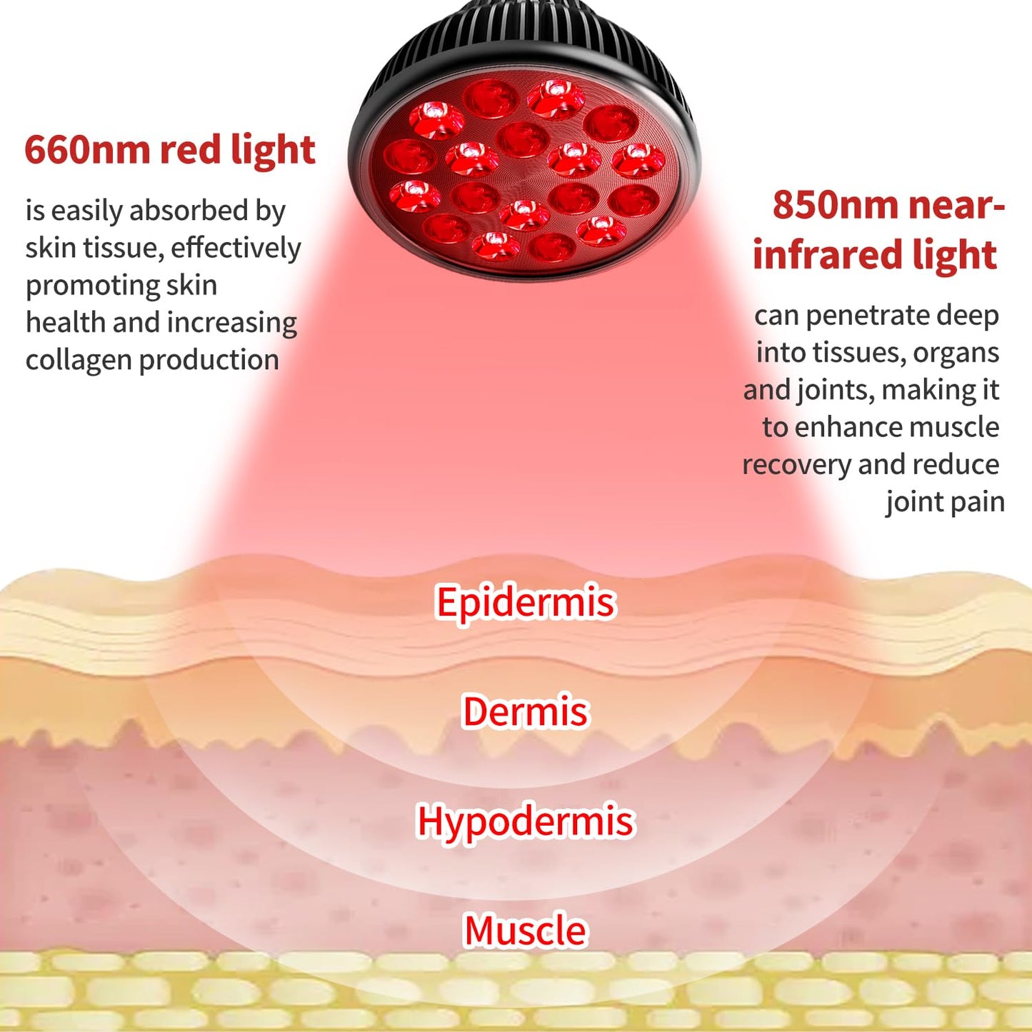 Aumtrly Red Light Therapy Lamp with 16.5 inch Adjustable Stand, 660nm Red Light and 850nm Near Infrared Light Combo for Face and Body Use