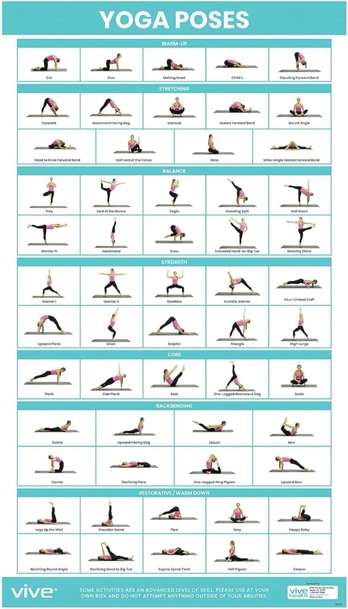Vive Yoga Poster - Poses for Beginners and Experts - Mat Exercise Home Gym Workout Accessories Set- Double Sided Laminated...