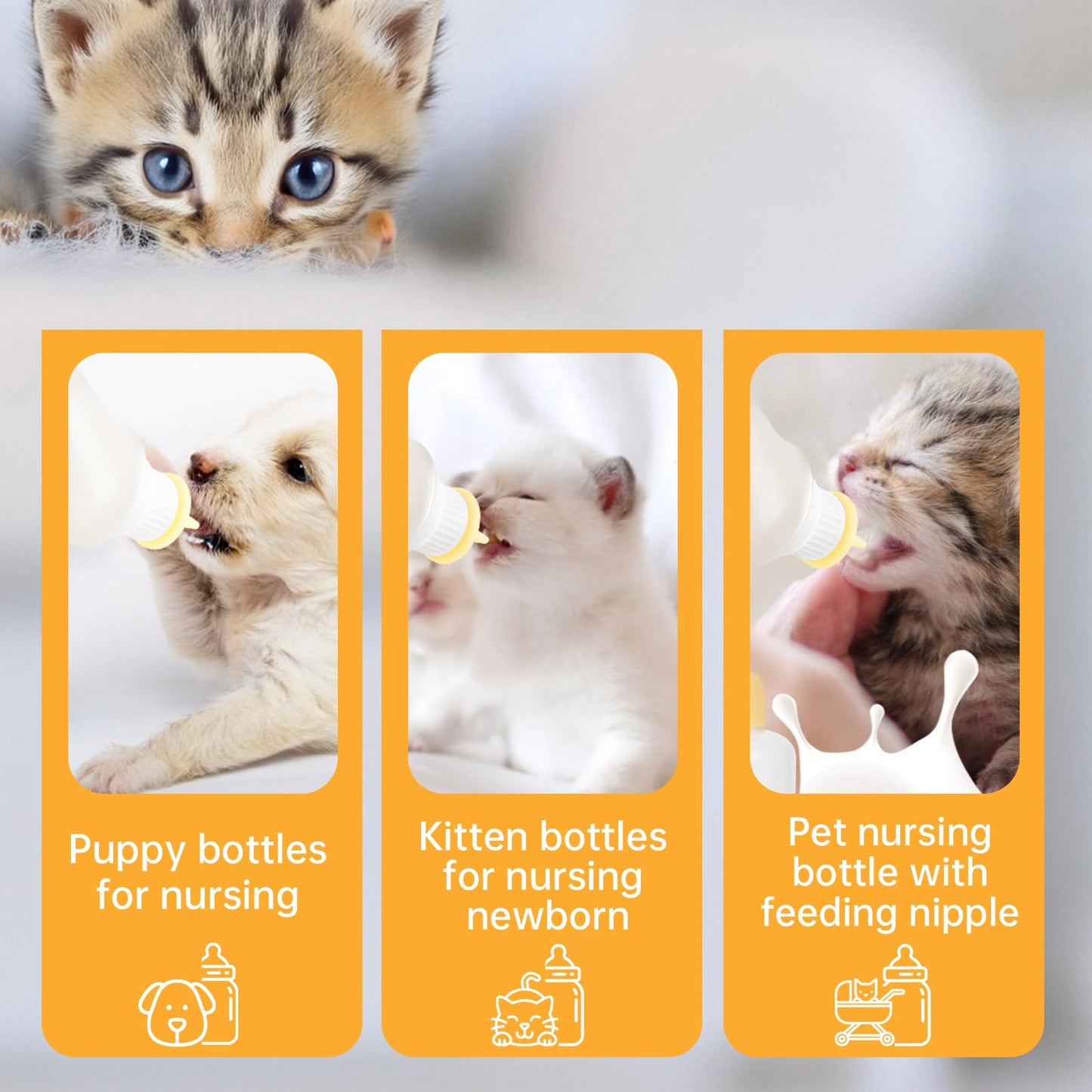 Xuandea 5Pack Kitten Bottle for Nursing Puppy Milk Kitten Bottles Feeding Kit Silicone Nipple for Newborn Pets Kittens, Puppy,Squirrel (Yellow)