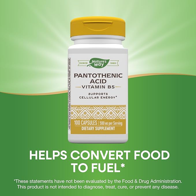 Nature's Way Pantothenic Acid, Supports Cellular Energy*, 500mg Per Serving, 100 Capsules