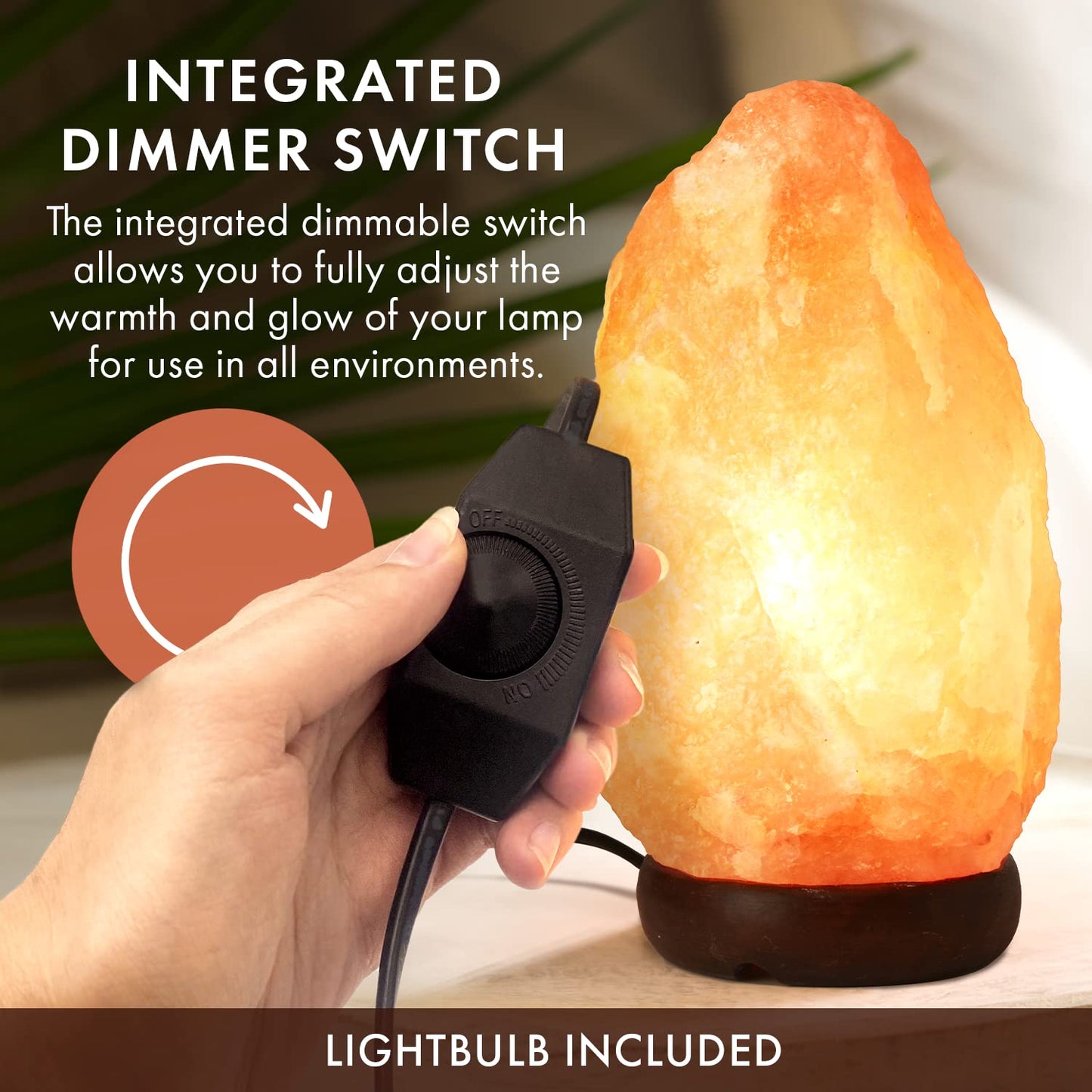 The Body Source Himalayan Salt Lamp, 10-12 Inch, Orange, Wooden Base, Model SL-03-US, Includes Dimmer Switch and Night Light