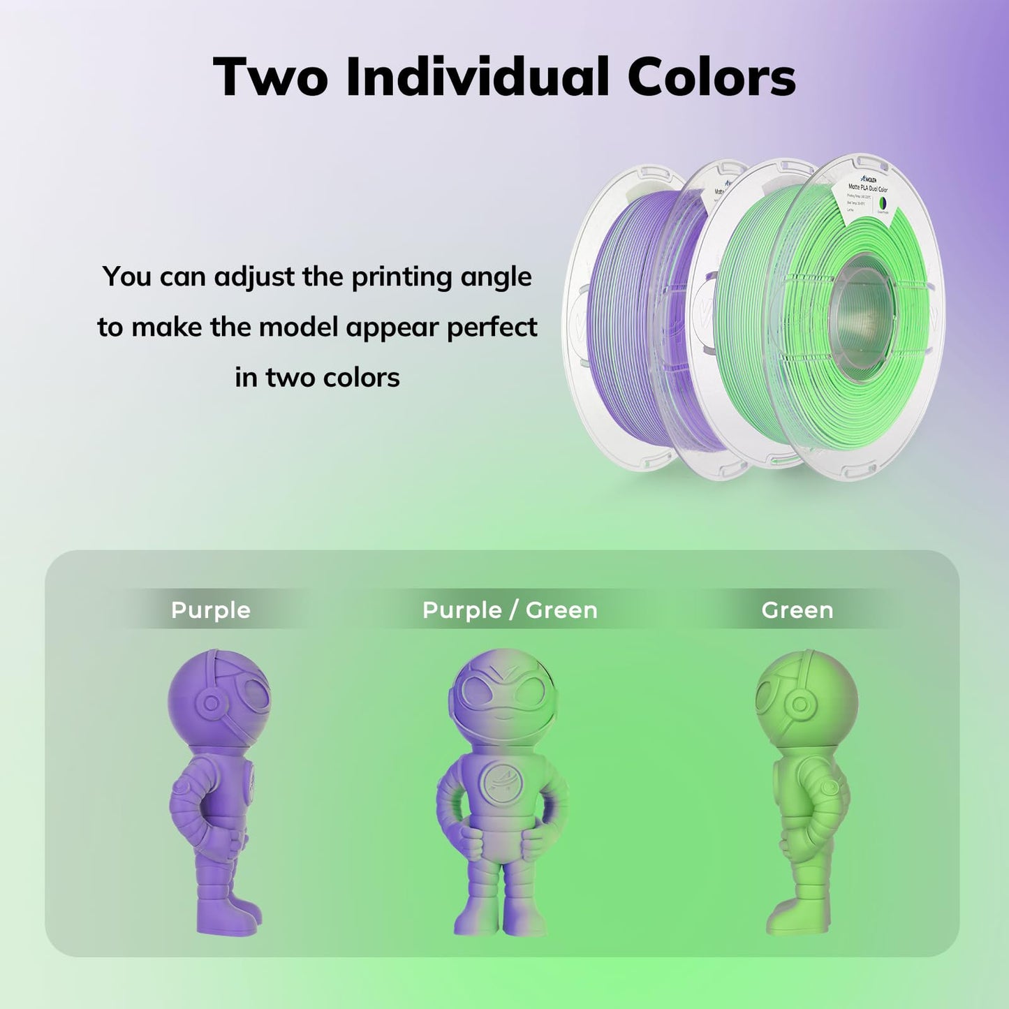 AMOLEN Matte PLA 3D Printer Filament - Dual Color Green Purple Filament, Smooth Finish Color Change 3D Printing Filament 1.75mm, 1KG/2.2lb