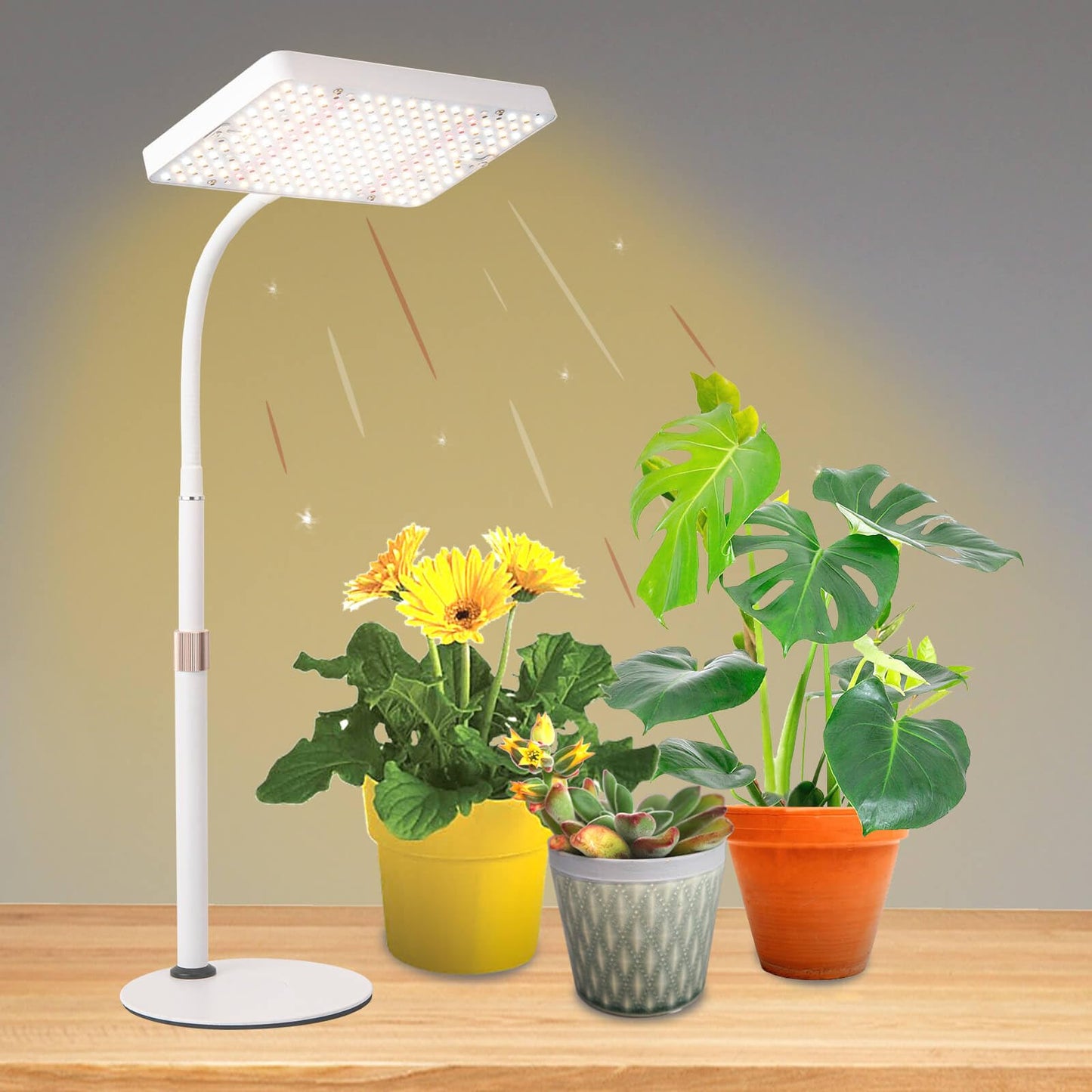 JINHONGTO Tabletop Grow Light with Timer, Adjustable 16in-24in, Black, Aluminum, Model Zinqolay