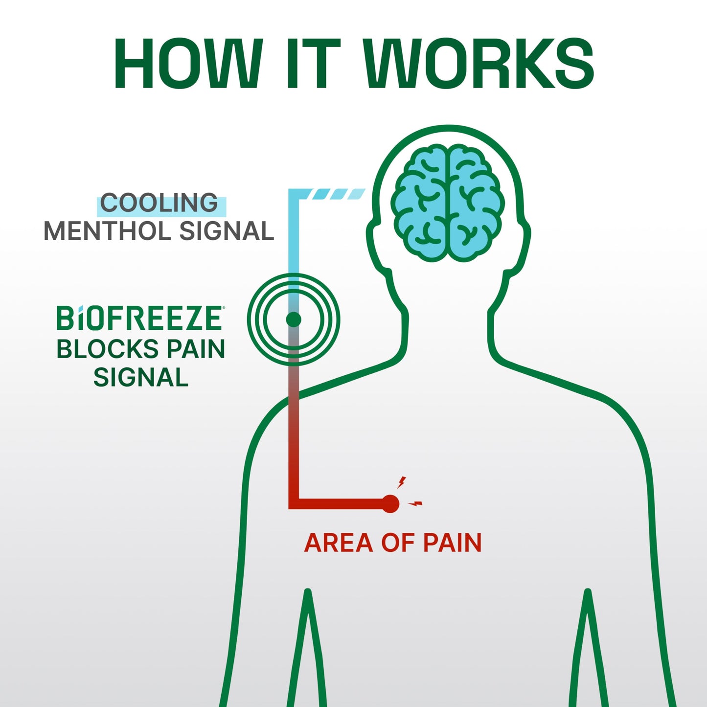 Biofreeze Professional Strength Pain Relief Aerosol Spray, Arthritis Pain Reliever, Knee & Lower Back Pain Relief, Sore Muscle Relief, FSA Eligible, 2 Pack (4 FL OZ Biofreeze Menthol Spray)