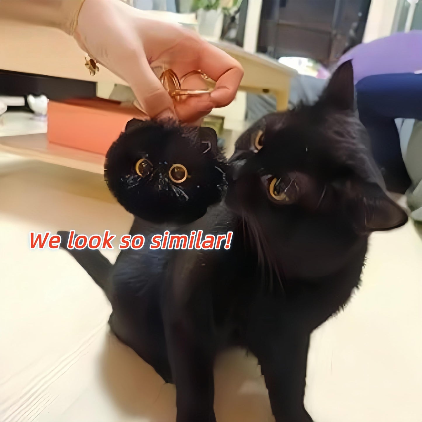 Aibelifam 2pcs Black Cat Keychain Gifts for Cat Lovers, Cute Plush Backpack Charms for Girls, Pom Pom Car Plush Keychains, Accessories for Handbags, Backpacks and Wallets, Gifts for Women