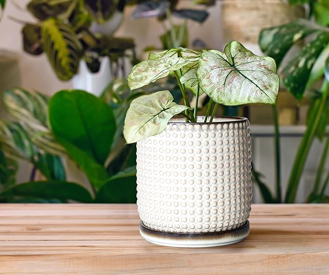 D'vine Dev 6 Inch Ceramic Beaded Stoneware Planter Pot - Flower Pot with Drainage Holes and Saucers for Indoor Succulent Plants or Flowers, Smoked White, 27-C-X-1