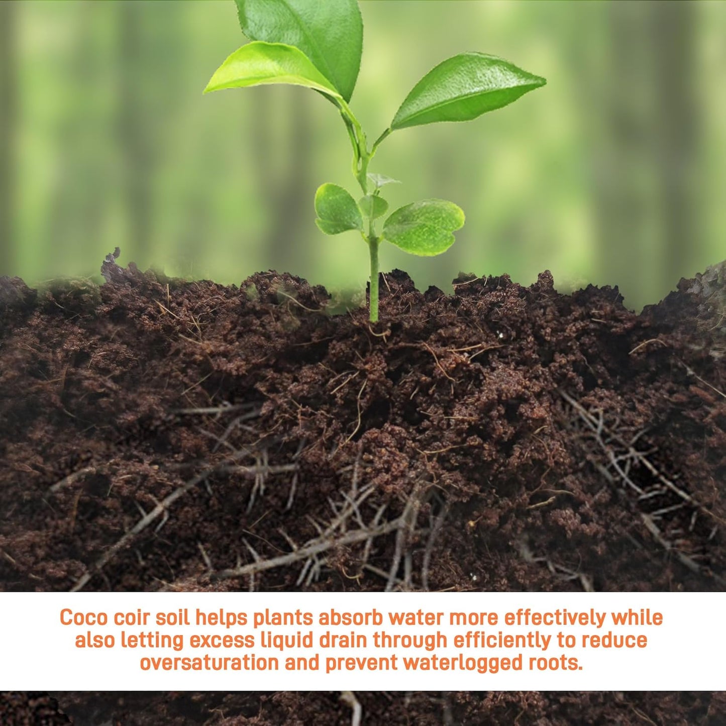 3-Pack Coco Coir Bricks, Premium Organic Peat Moss Mix for Plants, Low EC & pH Balance, Fiber Coconut Husk. Ideal for Gardening, Potting Soil & Substrate