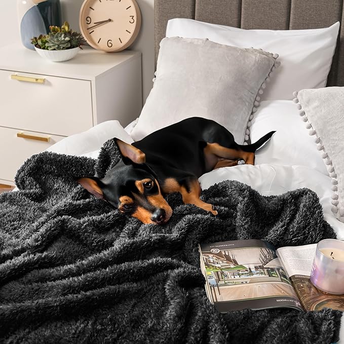 PAVILIA Sherpa Throw Blanket for Couch Sofa, Black Fluffy Warm Plush Blanket for Twin Bed, Cozy Super Soft Lightweight Throw, Fuzzy Decorative Blanket, All Season Home, 60x80