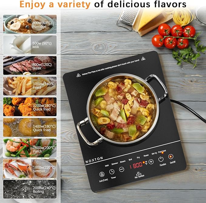 Noxton Portable Electric Stove 110V, 1800W Single Burner Electric Cooktop, Countertop Burner Electri Hot Plate, 4 Hour Timer, 9 Power Level, Child Safety Lock, Compatible with All Cookware(Black)