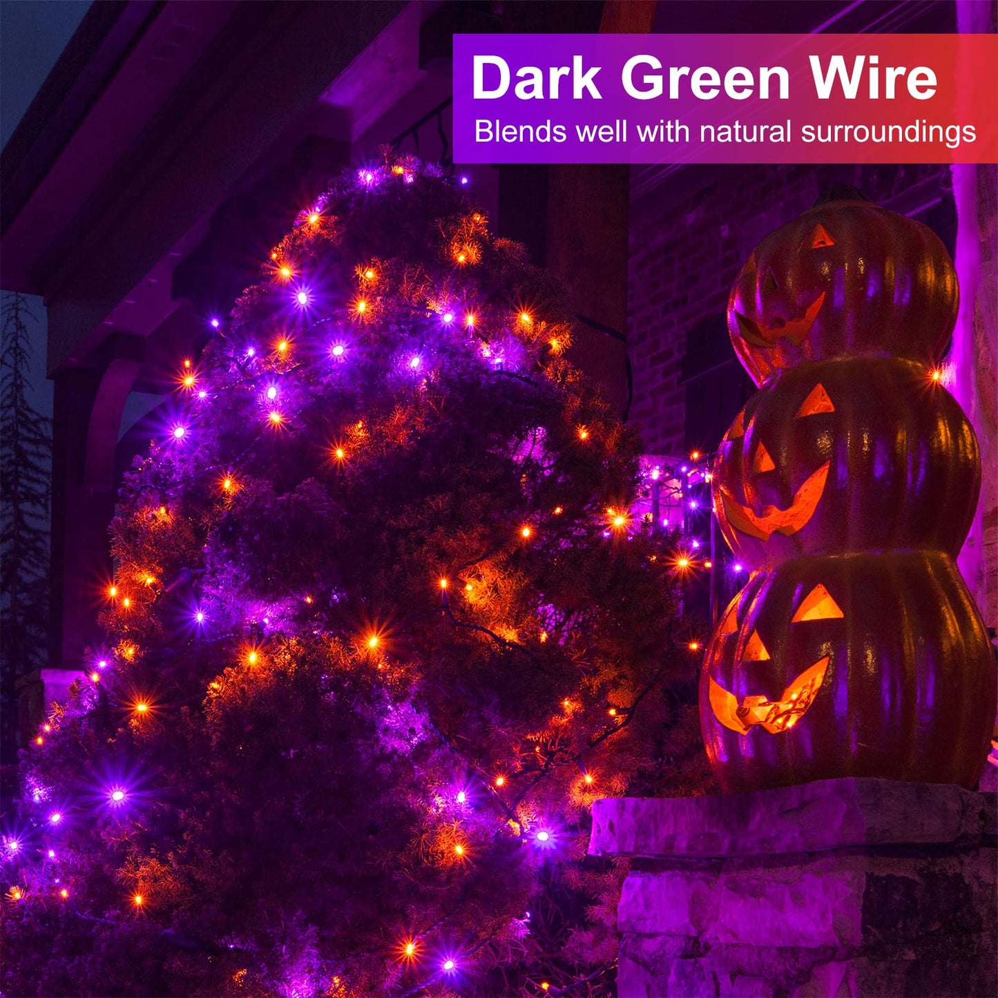 Nielfoi 2 Pack Christmas Lights - 200Ft 600 Led Waterproof Twinkle Lights In Purple Orange For Indoor & Outdoor Decorations, Model Bg-Cl3M3-306L01