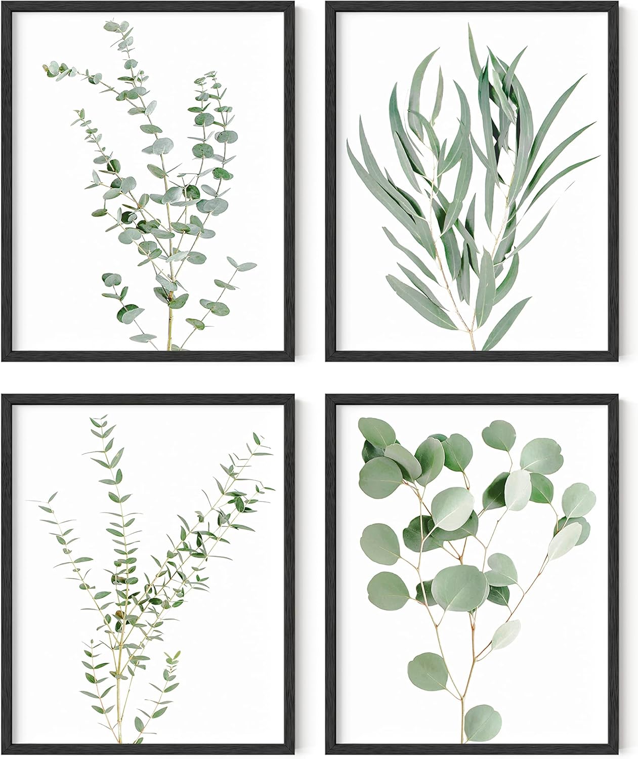 HAUS AND HUES Botanical Plant Wall Art Prints - Set of 4, Plant Wall Decor, Floral Kitchen, Flower Leaves Wall Art, Boho Eucalyptus Decor, Green Botanical Poster (8x10, Black Frame)