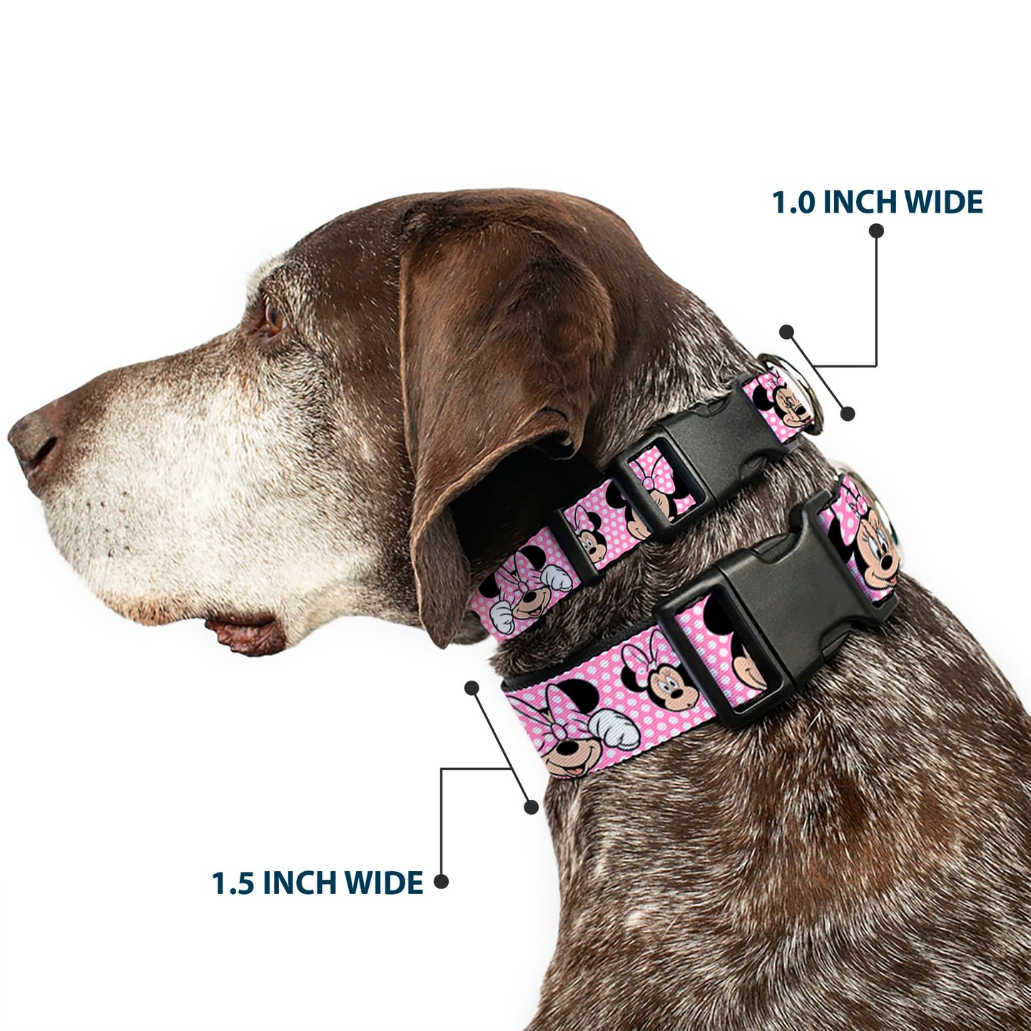 Buckle-Down Plastic Clip Collar - Minnie Mouse Expressions Polka Dot Pink/White - 1.5" Wide - Fits 16-23" Neck - Medium
