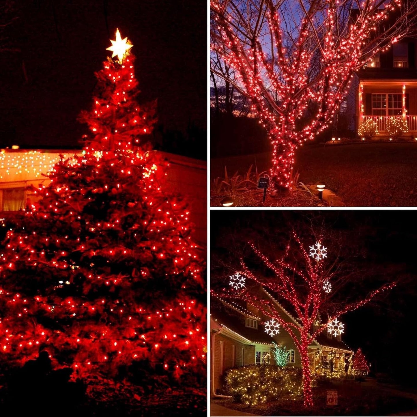 Albelt 2 Pack 480 LED Solar Christmas Lights, 170 FT Waterproof Twinkle String Lights, 8 Modes, Red, Model SSLGW