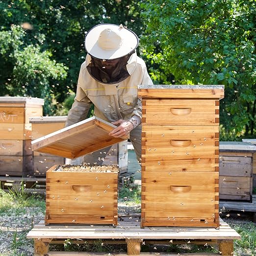 VINGLI 10-Frame Bee Hive, Wax Coated Beehive Starter Kit with Frames & Beeswax Coated Foundation Sheets (3 Layer)