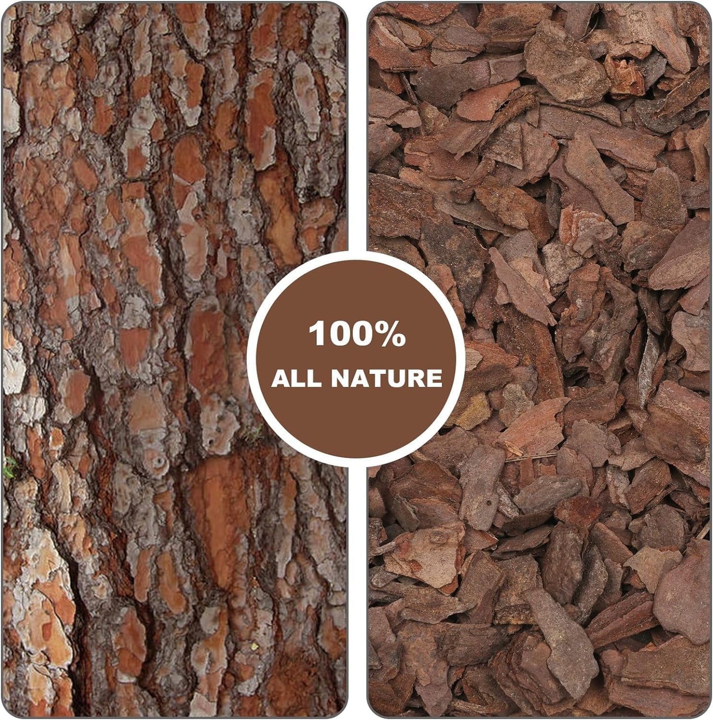 Orchid Bark 1qt, Natural Pine Bark Mulch for Plants, Great for Orchids, Succulents, Cactus, Bonsai, Ideal for Houseplant Mulch