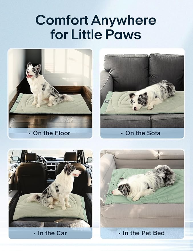 ZonLi Dog Cooling Mat, 20" x 16"Small, Waterproof Cooling Pad for Cats & Rabbits, Portable & Durable Pet Mat for Crate, Trunk, Camping, Outdoors, Machine Washable, Ice Green