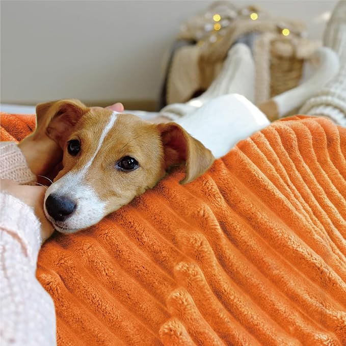 INFIIXSO Sherpa Fleece King Size Blanket - Super Soft & Warm Striped Fleece, Cozy Plush Fluffy Large Bed Blanket All Season Use (Burnt Orange, 104x90 Inches)