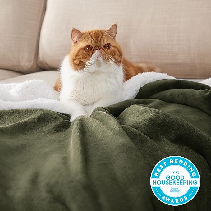Bedsure GentleSoft Sherpa Fleece Blankets Queen Size for Bed - Thick and Warm, Soft Fuzzy Plush Queen Blanket for Winter, Olive Green, 90x90 Inches