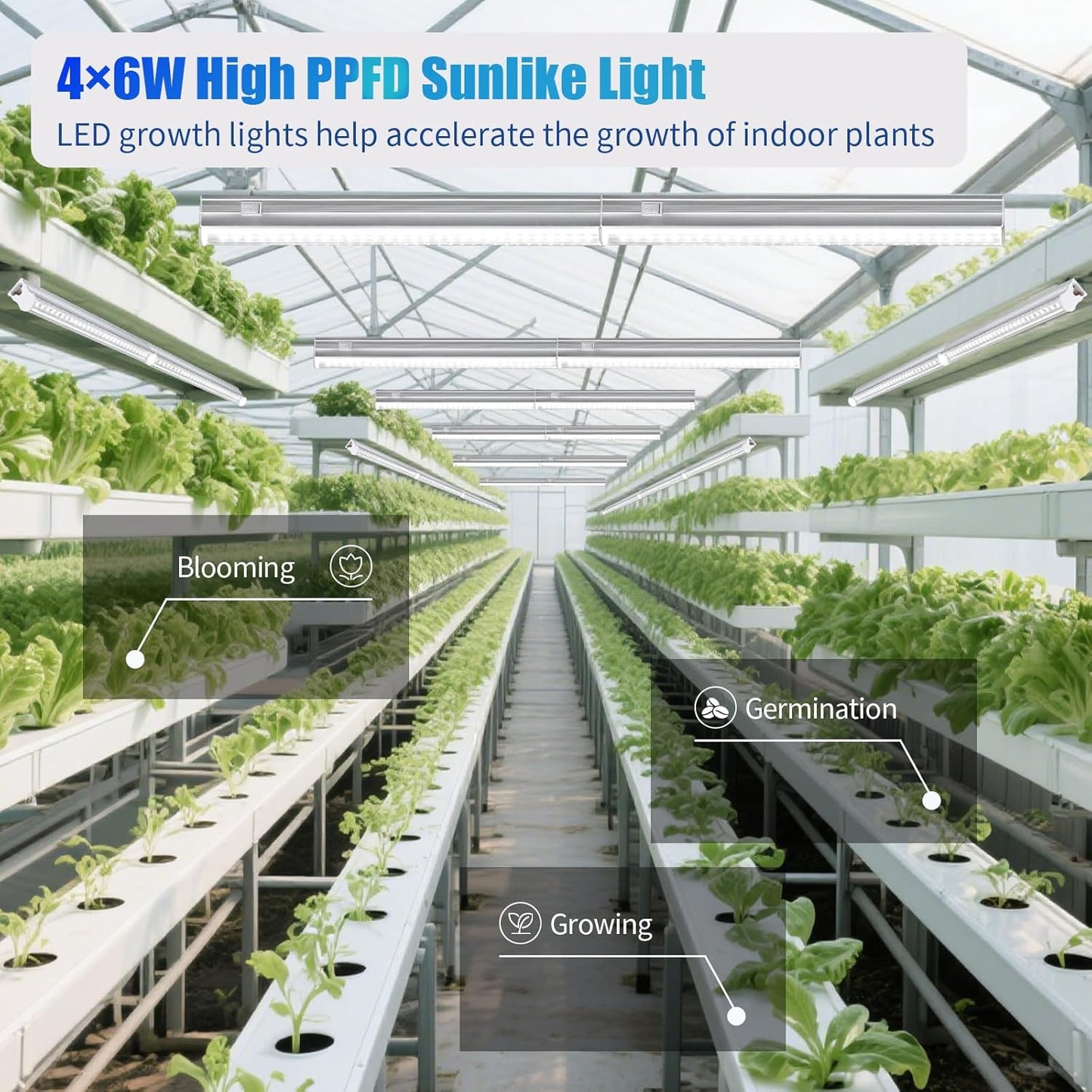 Hywymlait Grow Lights for Indoor Plants, 5000K White Full Spectrum LED Growing Lamp, 1FT T5 Plant Growing Light Strips for Greenhouse Seed Starting, Vegetables, Plug and Use, 4-Pack