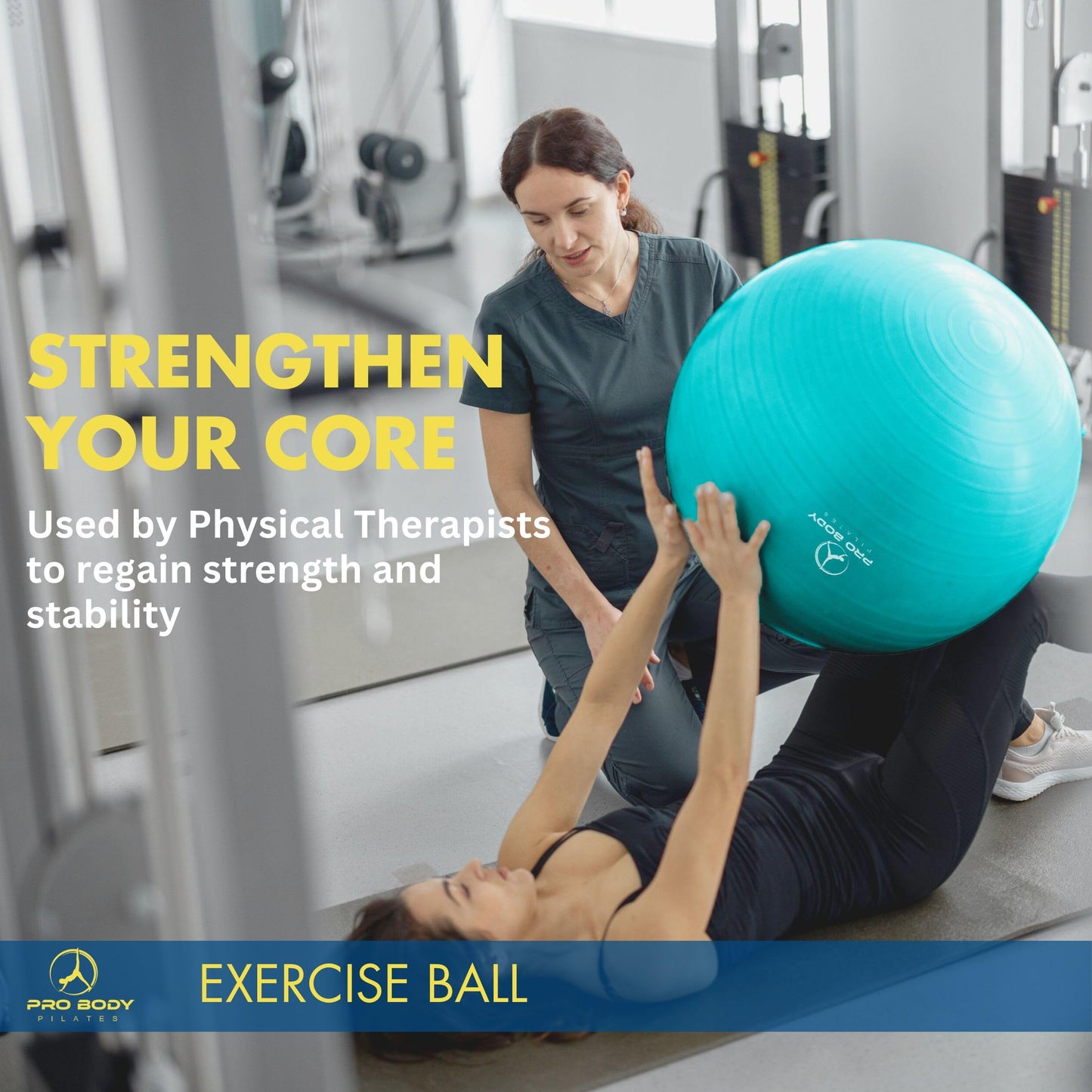 ProBody Pilates Exercise Ball - Multiple Sizes Gym Grade Balance Ball for Fitness, Workout, Pregnancy & Physical Therapy, Stability Yoga Ball Chair (Blue, 45 cm)