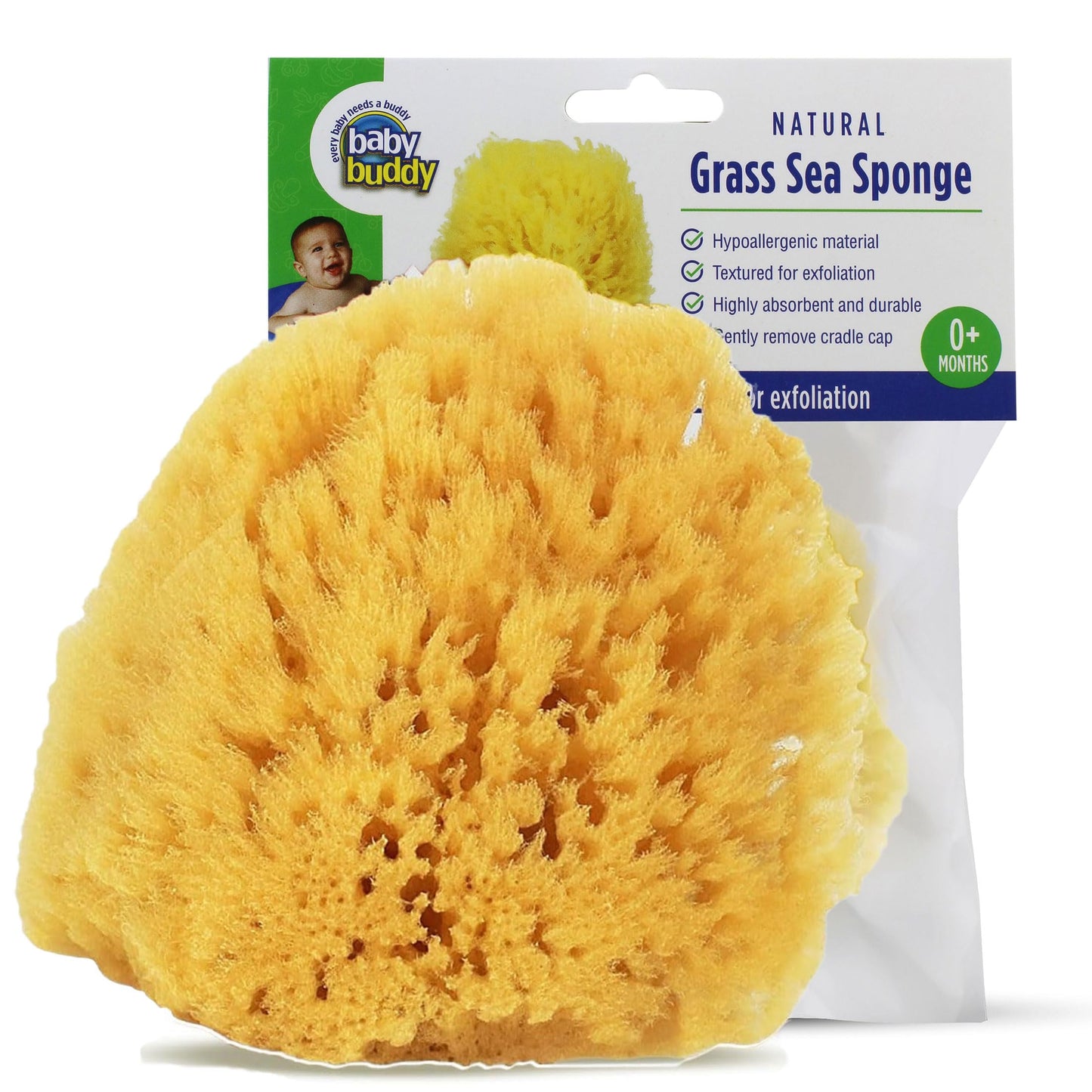 Baby Buddy Natural Grass Sea Sponge, Newborn Bath Time Essential, Textured for Exfoliation, Hypoallergenic, 1 Count
