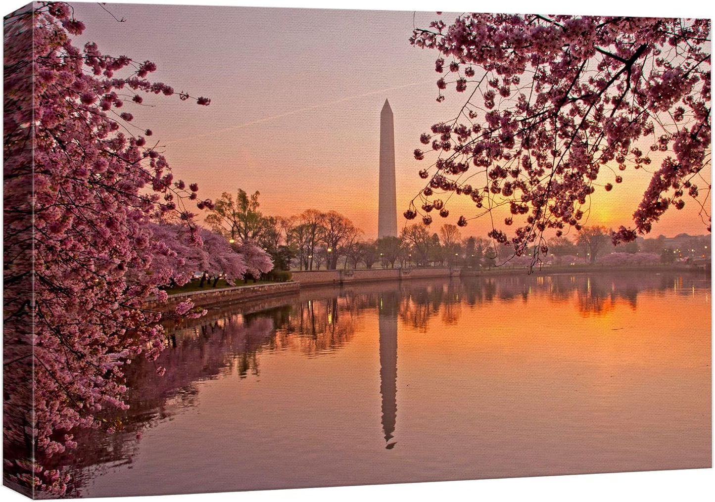 Canvas Prints Wall Art - Cherry Blossom Festival at The National Mall Washington, DC | Modern Wall Decor/Home Art Stretched Gallery Wraps Giclee Print & Wood Framed. Ready to Hang - 16" x 24"
