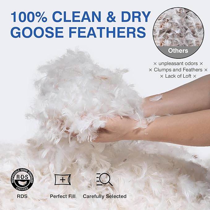 Goose Feather Bed Pillow Queen Size Set of 2 - Hotel Down Pillows for Sleeping, Soft 600 Thread Count Cotton Cover, Fluffy Support Surround Fill Polyester for Back, Stomach, Side Sleepers
