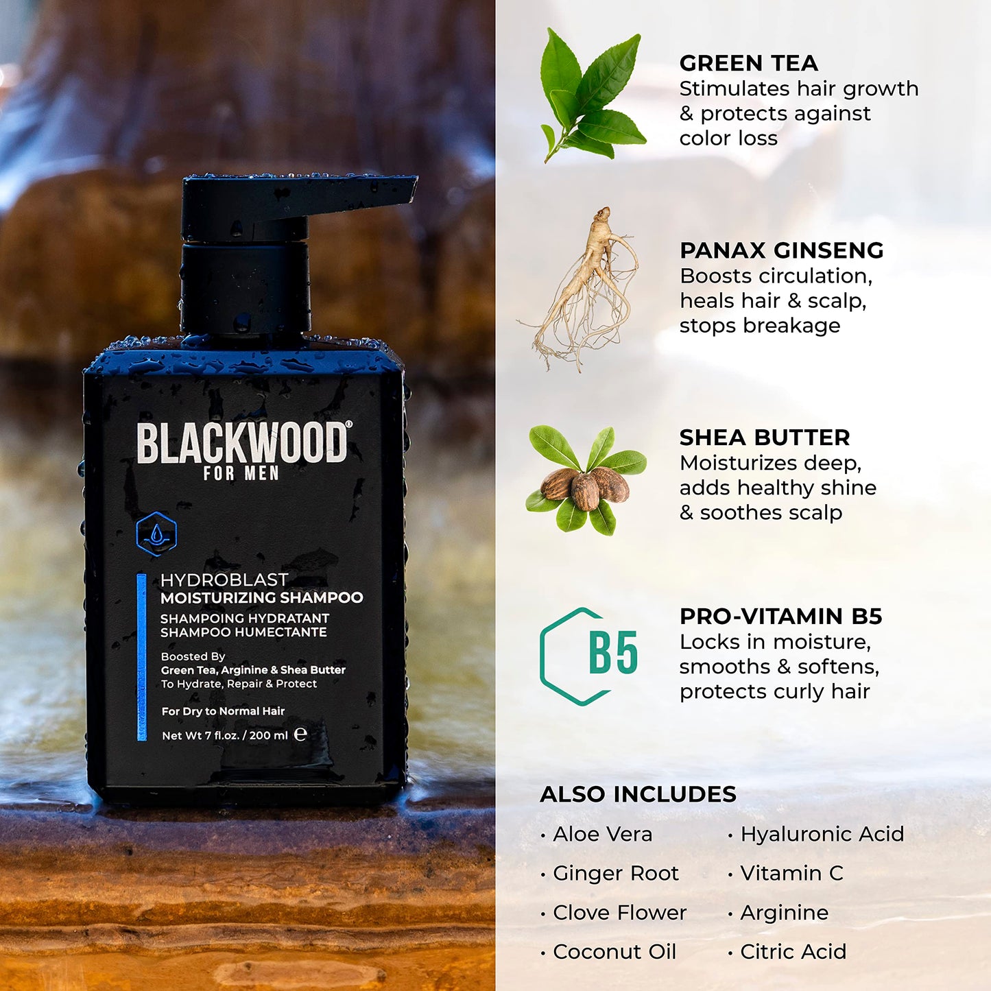 Blackwood For Men Hydroblast Moisturizing Shampoo - Men's Shampoo for Coarse, Dry, & Curly Hair-Infused with Ginseng & Ginger -