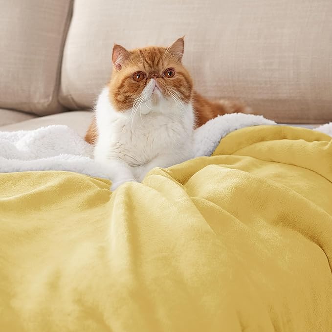 Bedsure GentleSoft Sherpa Fleece Blankets Queen Size for Bed - Thick and Warm, Soft Fuzzy Plush Queen Blanket for Winter, Yellow, 90x90 Inches