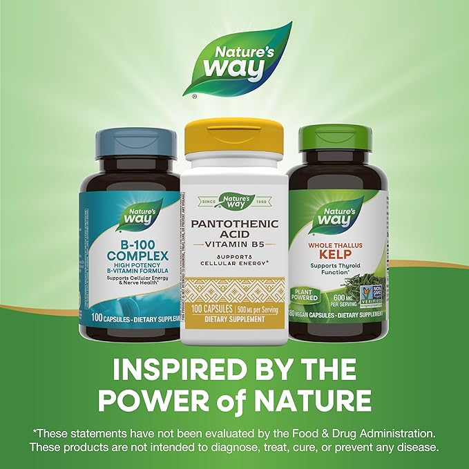 Nature's Way Pantothenic Acid, Supports Cellular Energy*, 500mg Per Serving, 100 Capsules