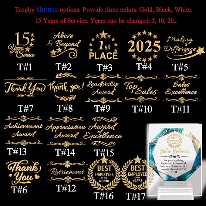 Custom Engraved Acrylic Employee Recognition Award – Personalized Appreciation Trophy for Corporate Excellence – Desk Display Plaque with Free Customization (Style #8)
