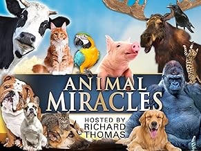 Animal Miracles