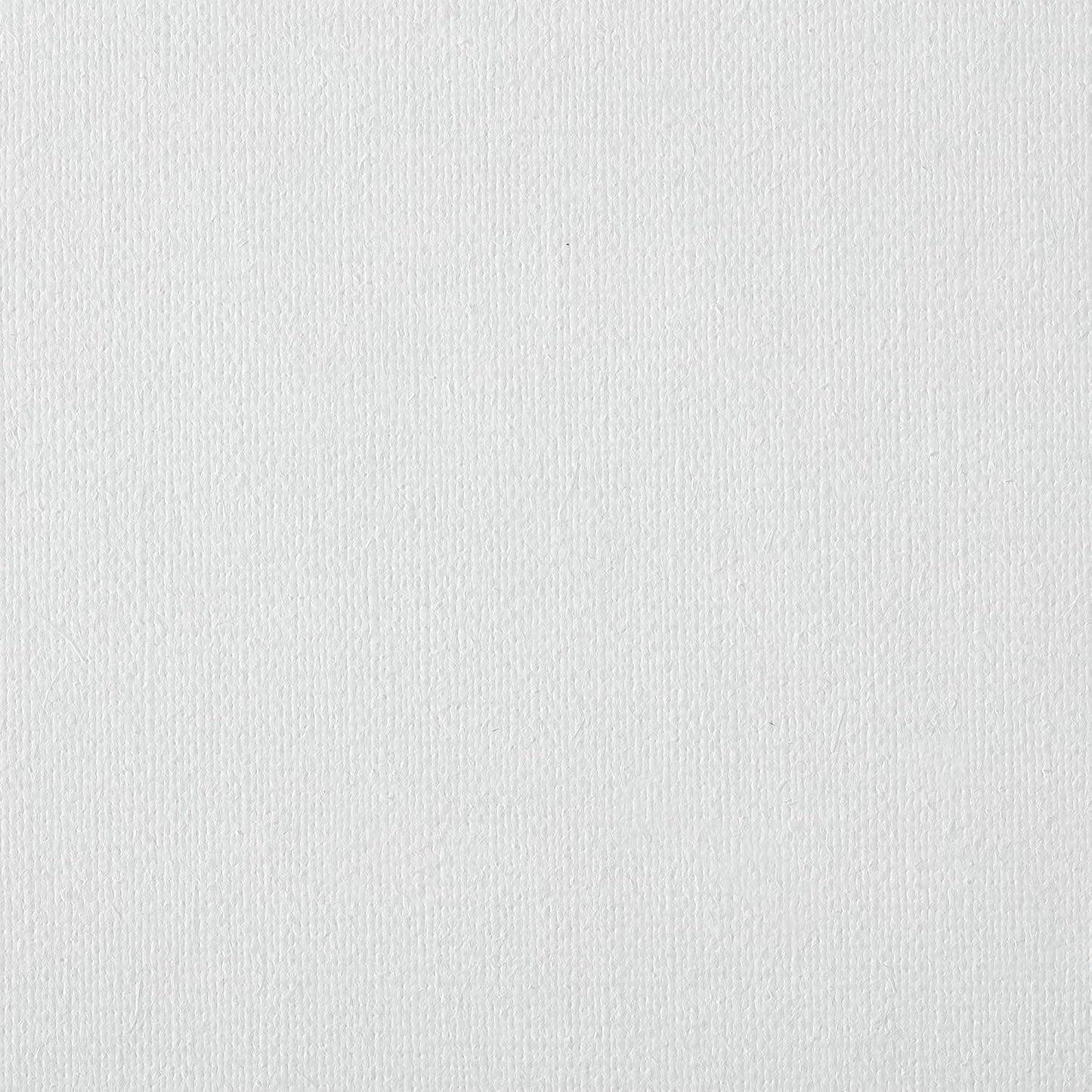 Centurion Deluxe Professional Oil Primed Linen Stretched Canvas, 11oz Linen, 24x24 - Box of 6, 0.67" Deep Canvases, Kiln-Dried Stretchers, Back Stapled, Premium Medium Weight Canvas for Oil Paintings