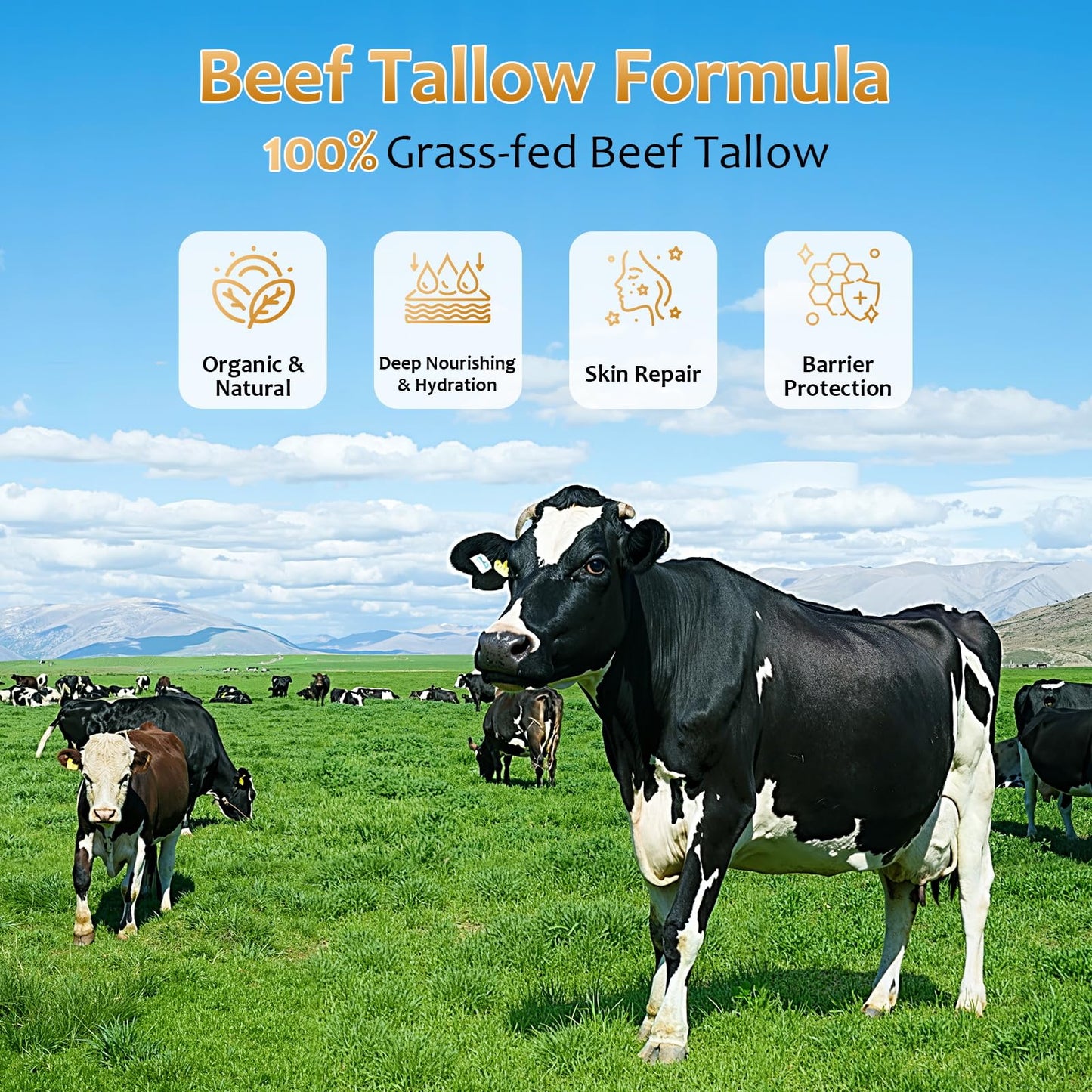 Mineral Sunscreen with Non-Toxic Zinc Oxide SPF 50, Organic Natural Beef Tallow Sunblock with Honey Beeswax, Non Greasy Formula