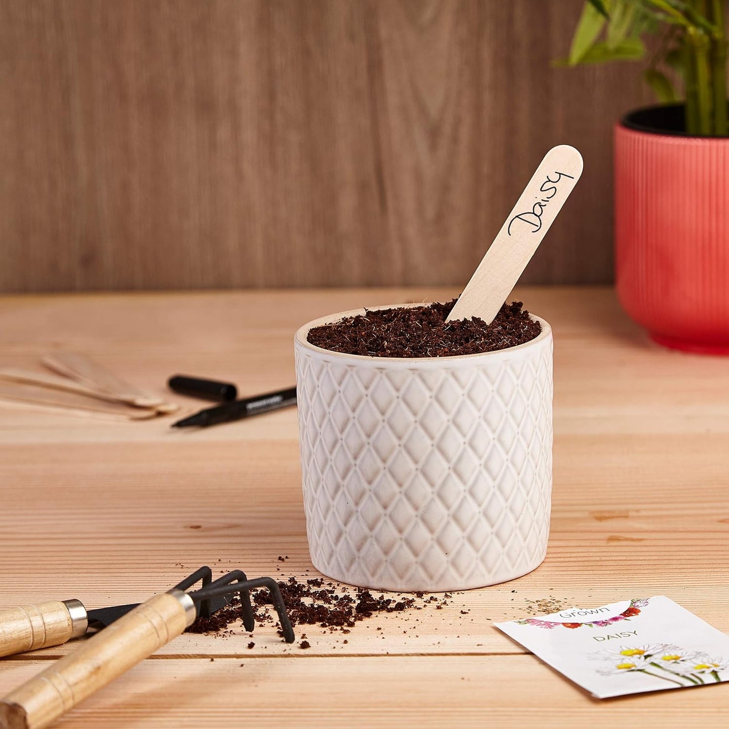 Plant Markers: 50 Wooden Plant Name Tags and Marker Pen – Plant Labels Wooden, Plant Tags, Seedling Labels – Gardening Name Tags, Garden Sign OwnGrown