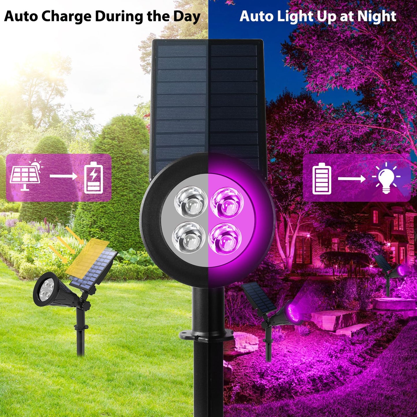 T-SUN Solar Spotlights, 4 LED Waterproof Outdoor Lights, 180° Adjustable, 1 Pack, Purple, Model SG_B07FNK8ZR2