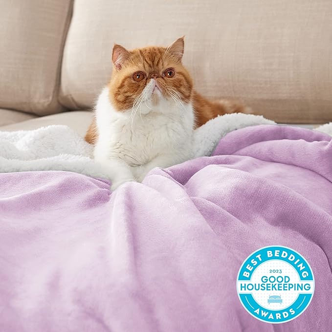 Bedsure Sherpa Fleece Throw Blanket Twin Size for Couch - Thick and Warm, Soft Fuzzy Plush Twin Blanket for Winter, Lilac, 60x80 Inches