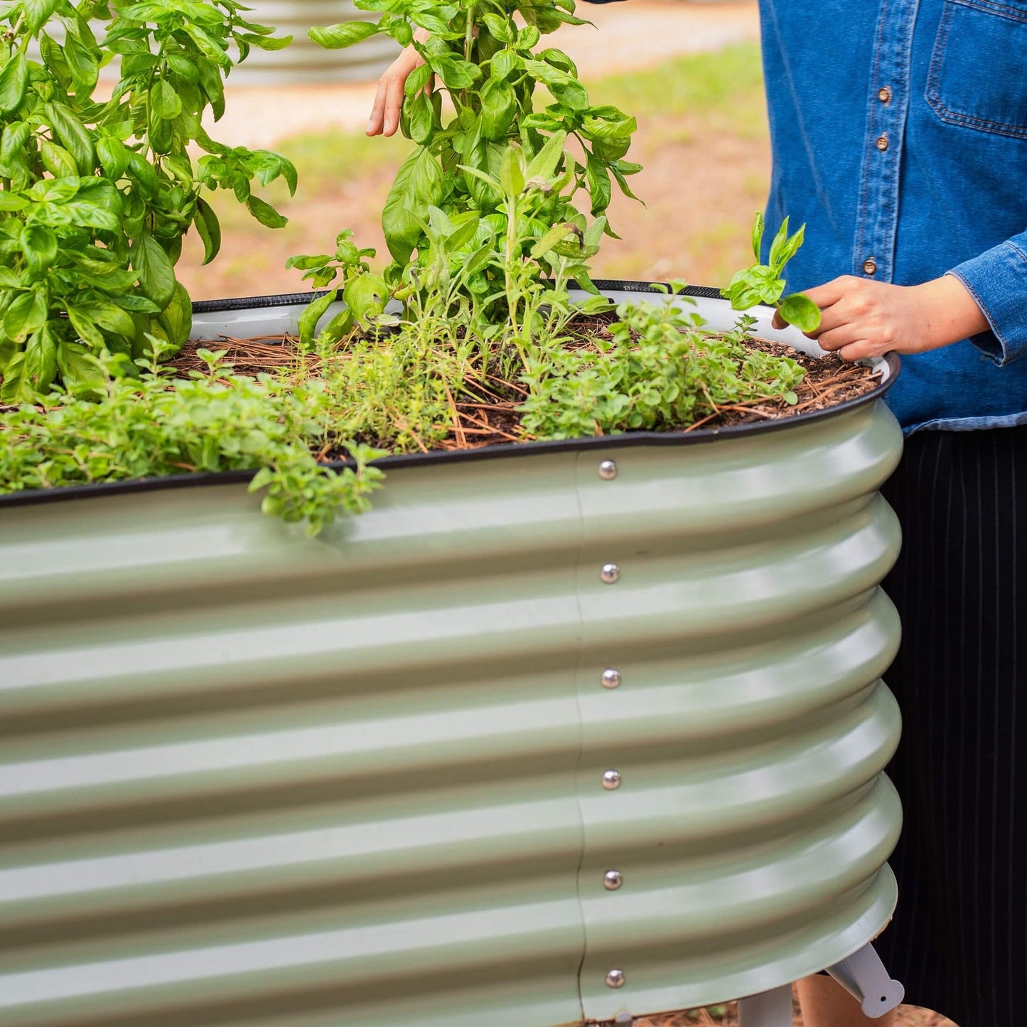 Vego garden 2' x 4' Raised Garden Bed with Legs and Wicking Cell System - S Series, Perfect for Gardening Vegetables, Herbs, & Flowers - Outdoor & Indoor Elevated Planter Box - Pearl White