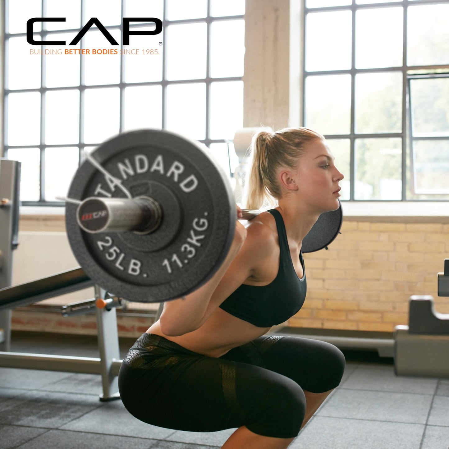 CAP Barbell Olympic 2-Inch Weight Plate, Gray