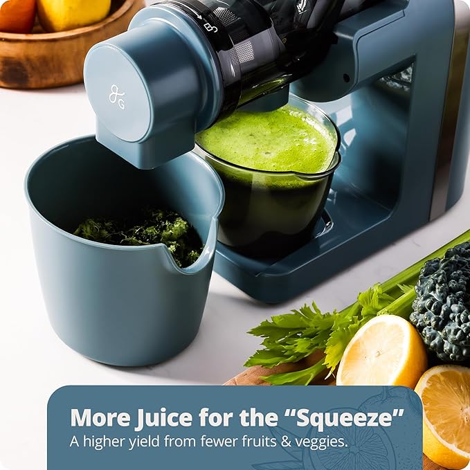 Greater Goods Cold Press Juicer, Powerful Slow Masticating Juice Extractor with Quiet Motor for Fruits and Vegetables, High Juice Yield, Easy to Clean, Stone Blue