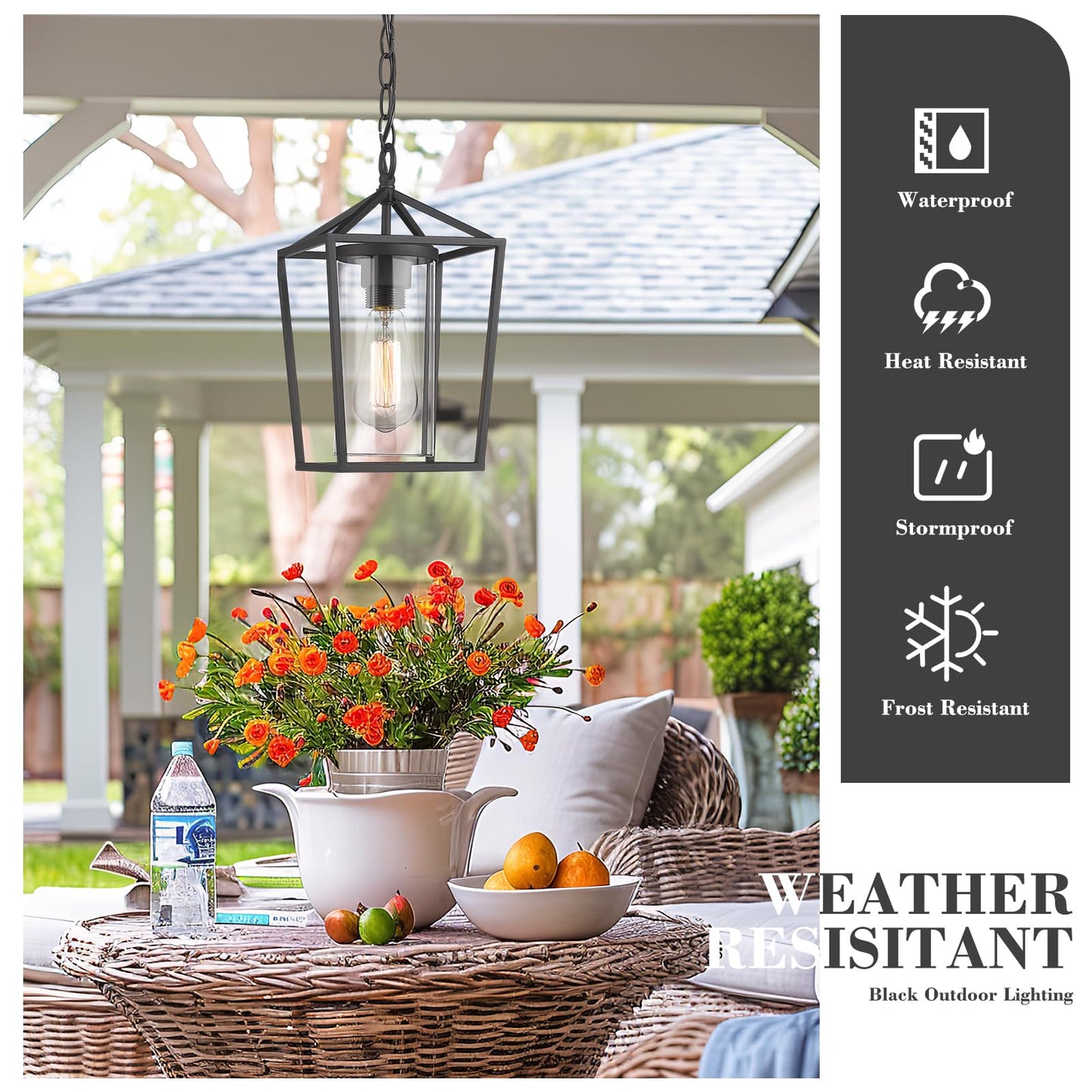 Emliviar Outdoor Pendant Light, 1-Light Hanging Lantern, Black Finish, Clear Glass, Model 20065H BK