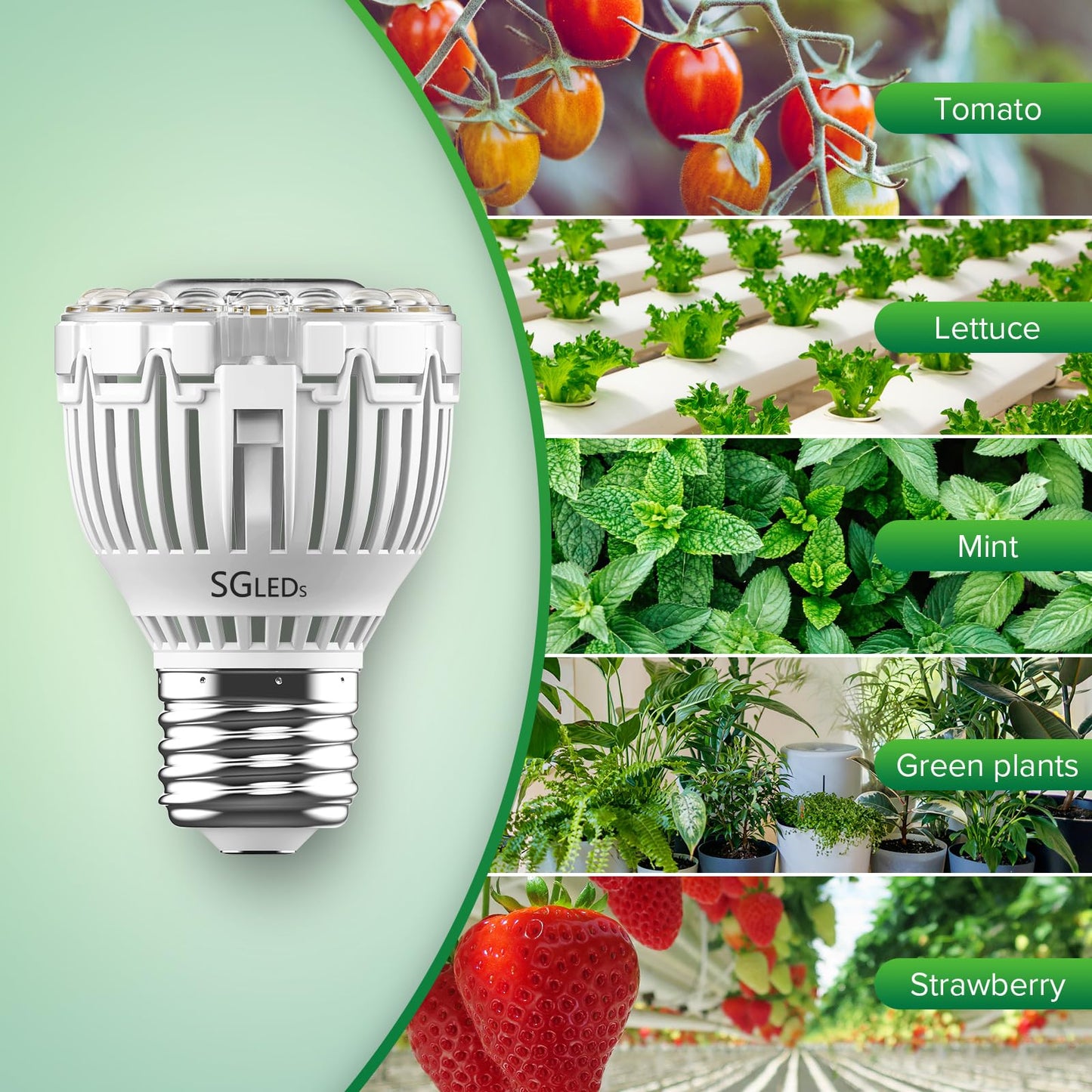SGLEDs Dimmable Grow Light Bulb, Full Spectrum, 10W PAR20, Remote Control, Auto On/Off, White, C21GL-GE26-10W