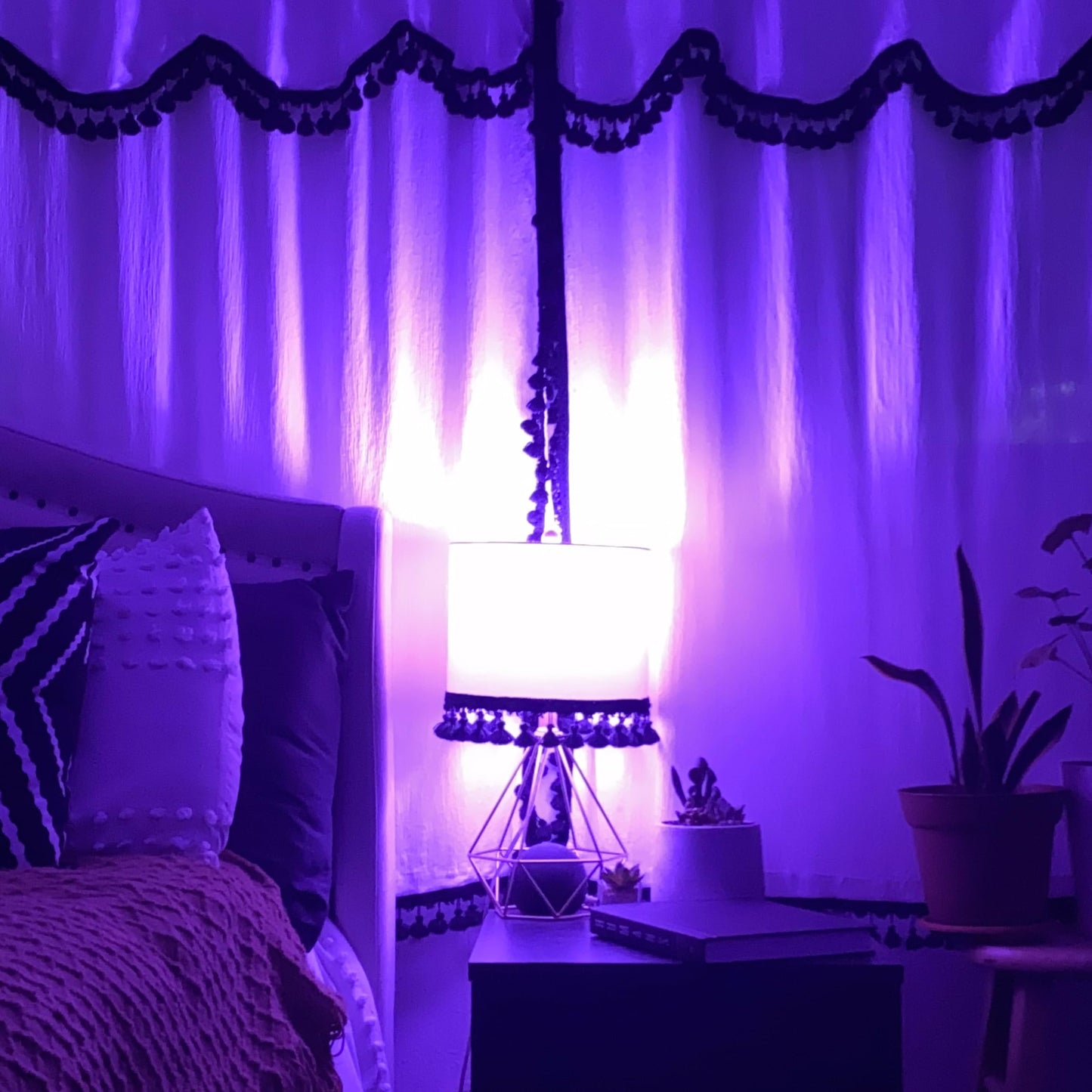 Feit Electric A19 Purple Filament Led Bulb, 25W, Glass, 2.38 D X 4.44 H, Model A19/Tp/Led,