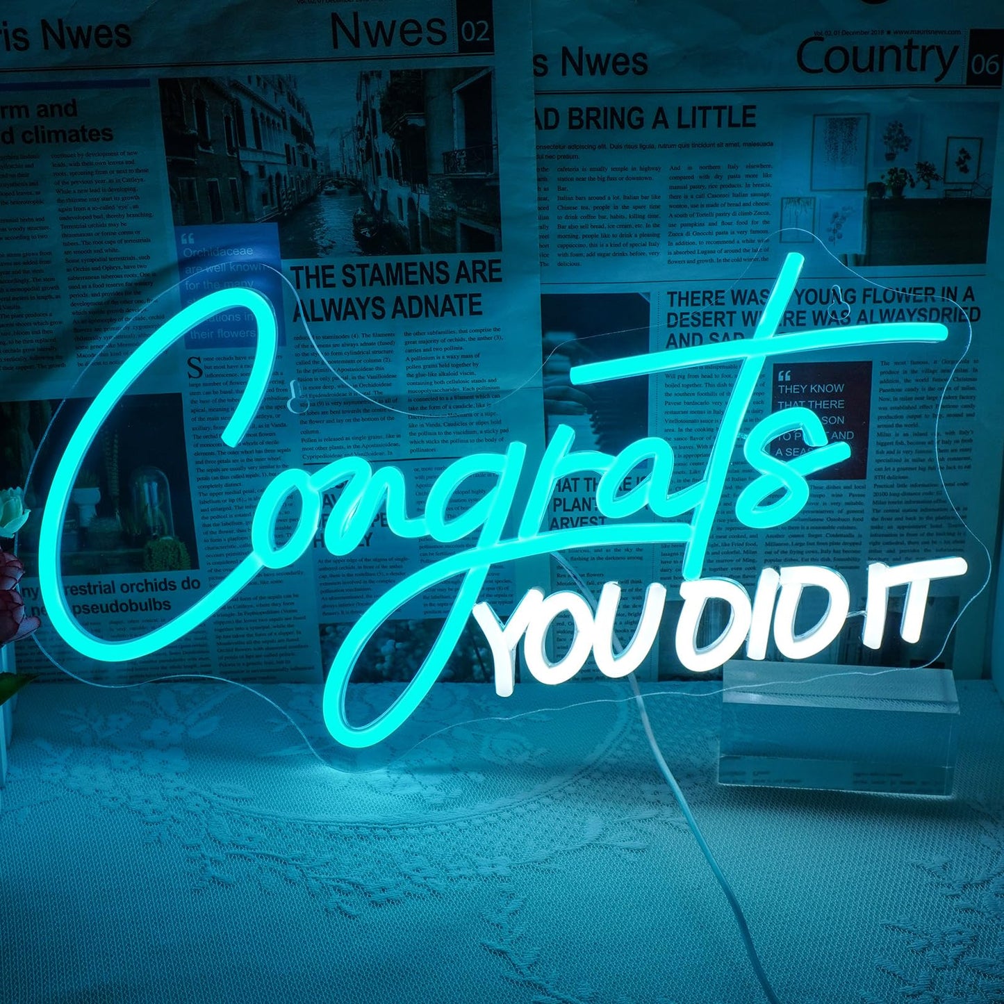 Wlhope Congrats You Did It Neon Sign Graduation Decorations 2025 Blue White Led Lights For Party College High School Class Graduation Gifts For Teens