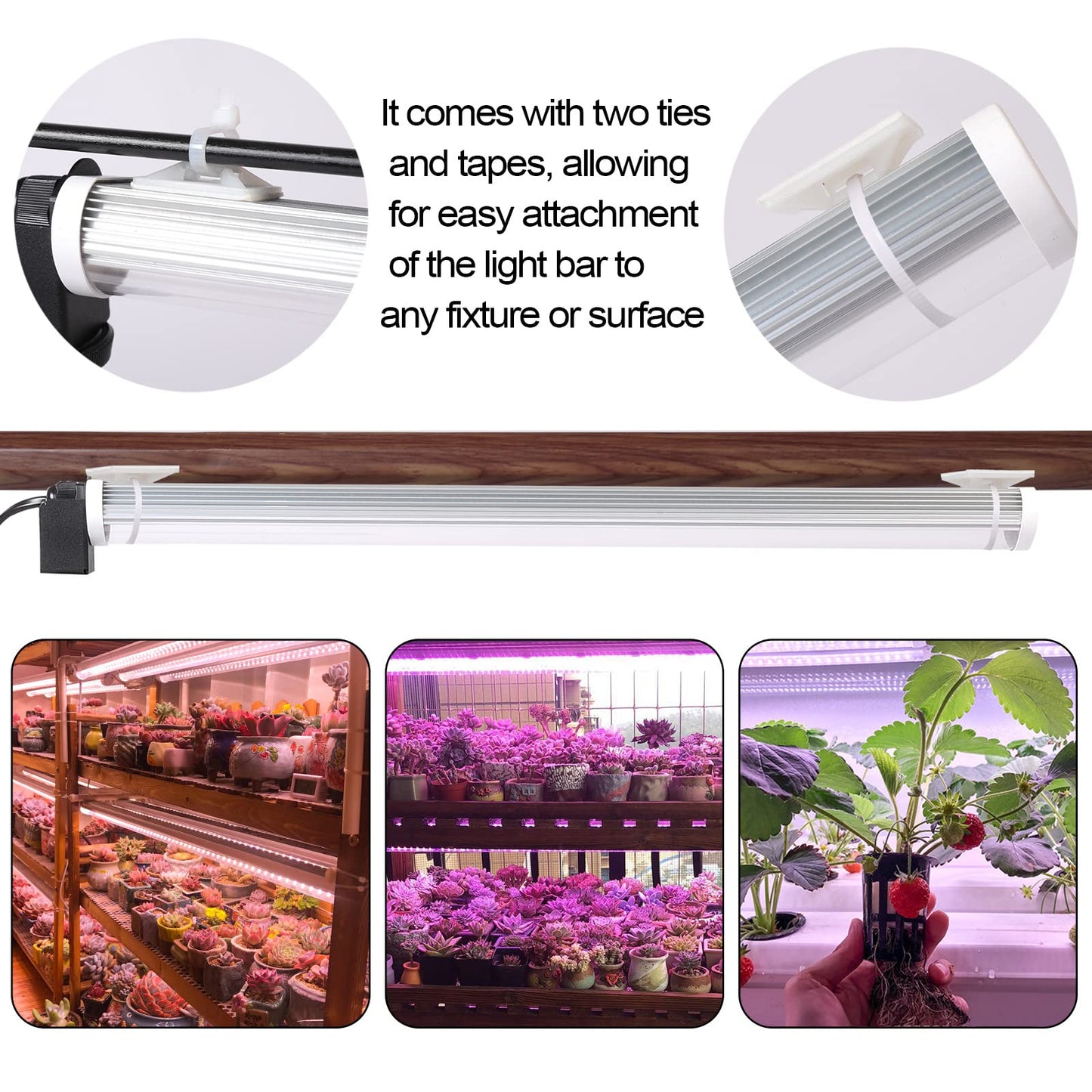 JCBritw LED Grow Light, Adjustable T12 Plant Lamp, 6500K Full Spectrum, Indoor Use, Model ASP45CMSTAND, White