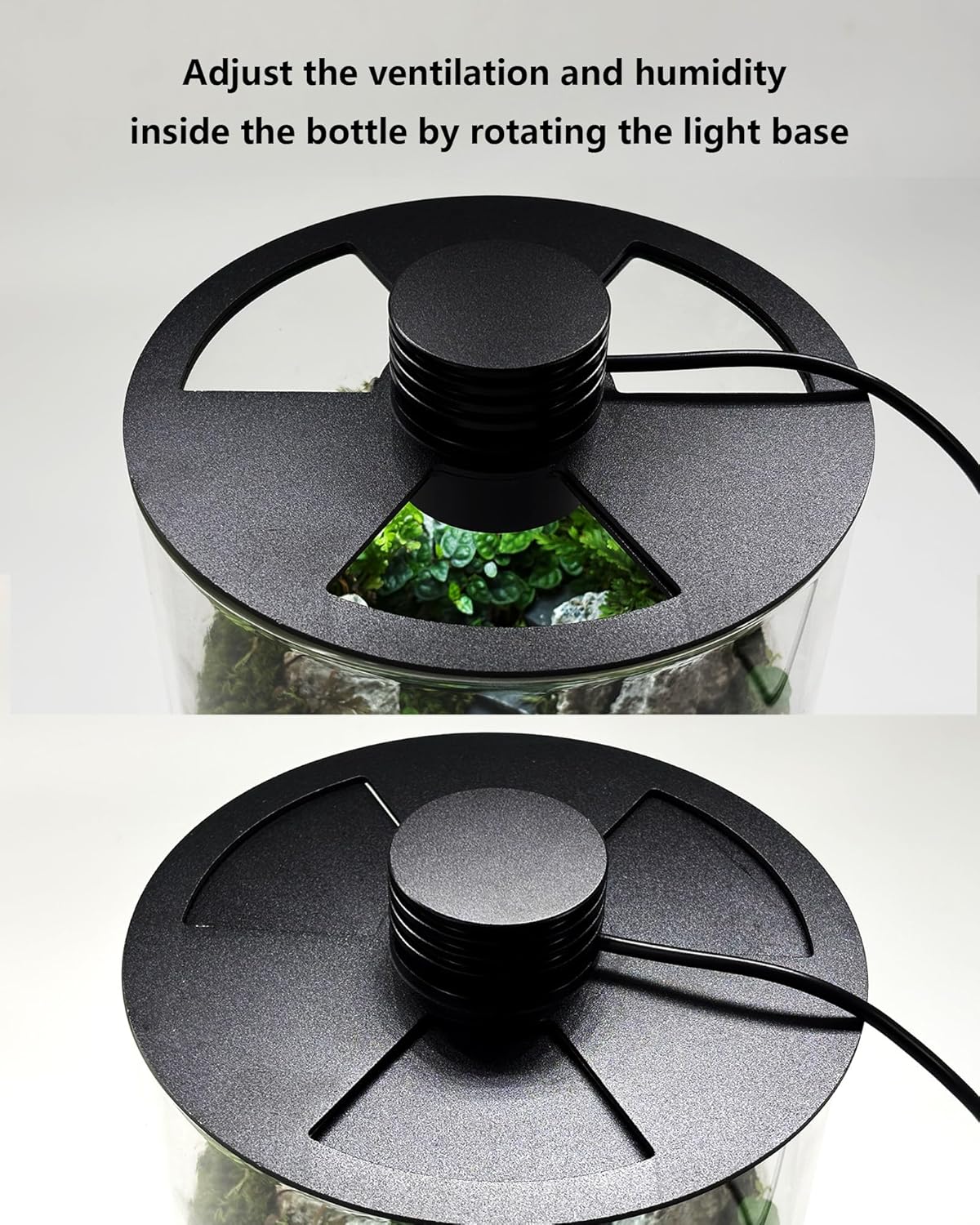 Desktop Glass Terrarium with Grow Light (7.5" H x 5.9" D) - for Succulents, Moss, Mini Gardens, Betta Fish Tanks, Mushroom Cultivation | Indoor Plant Growth | Office/Home Decor | Plant Lover Gifts