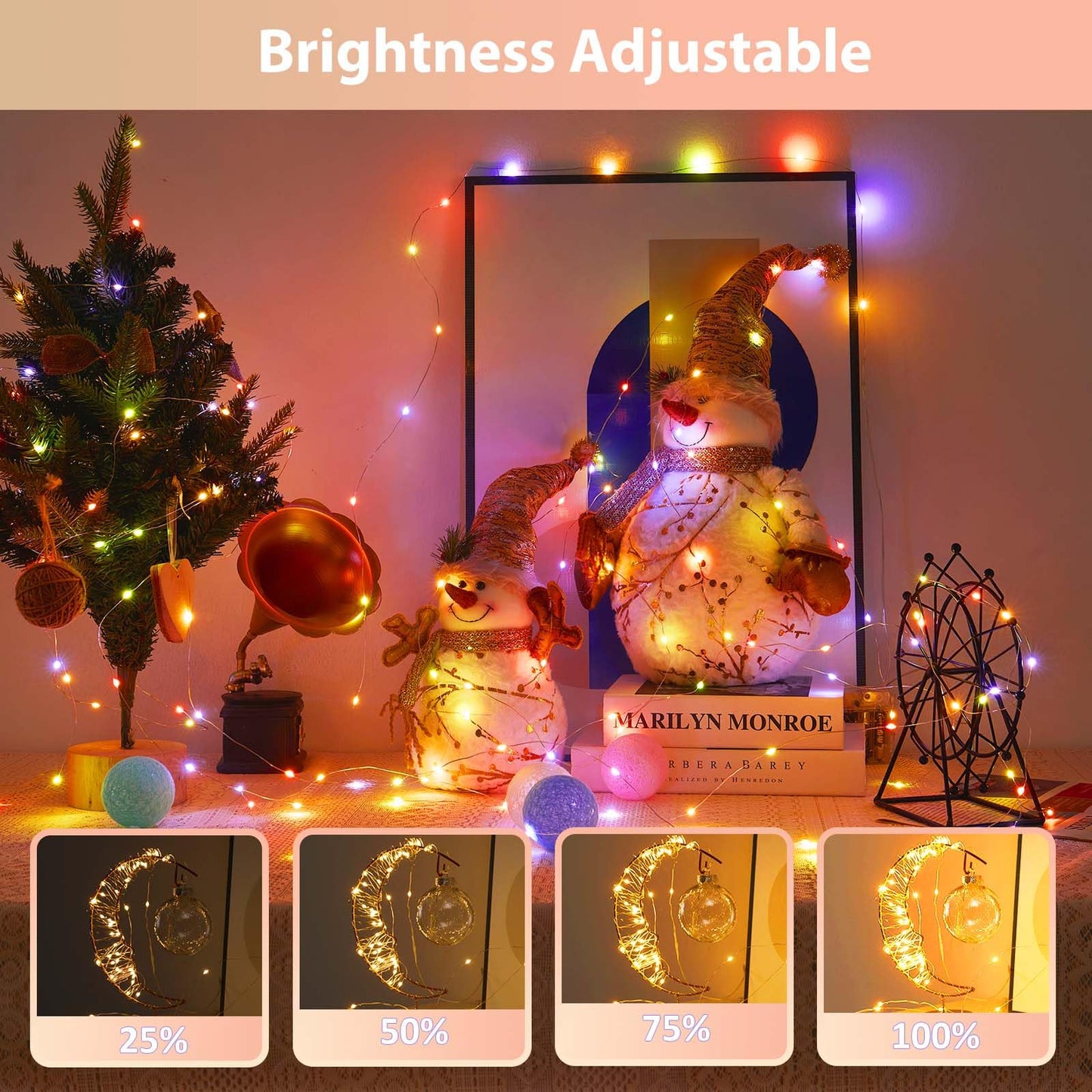 Ariceleo 50 Led Battery Operated String Lights, 5M Warm White & Multi-Color, Remote Control, Waterproof Silver Wire Fairy Lights