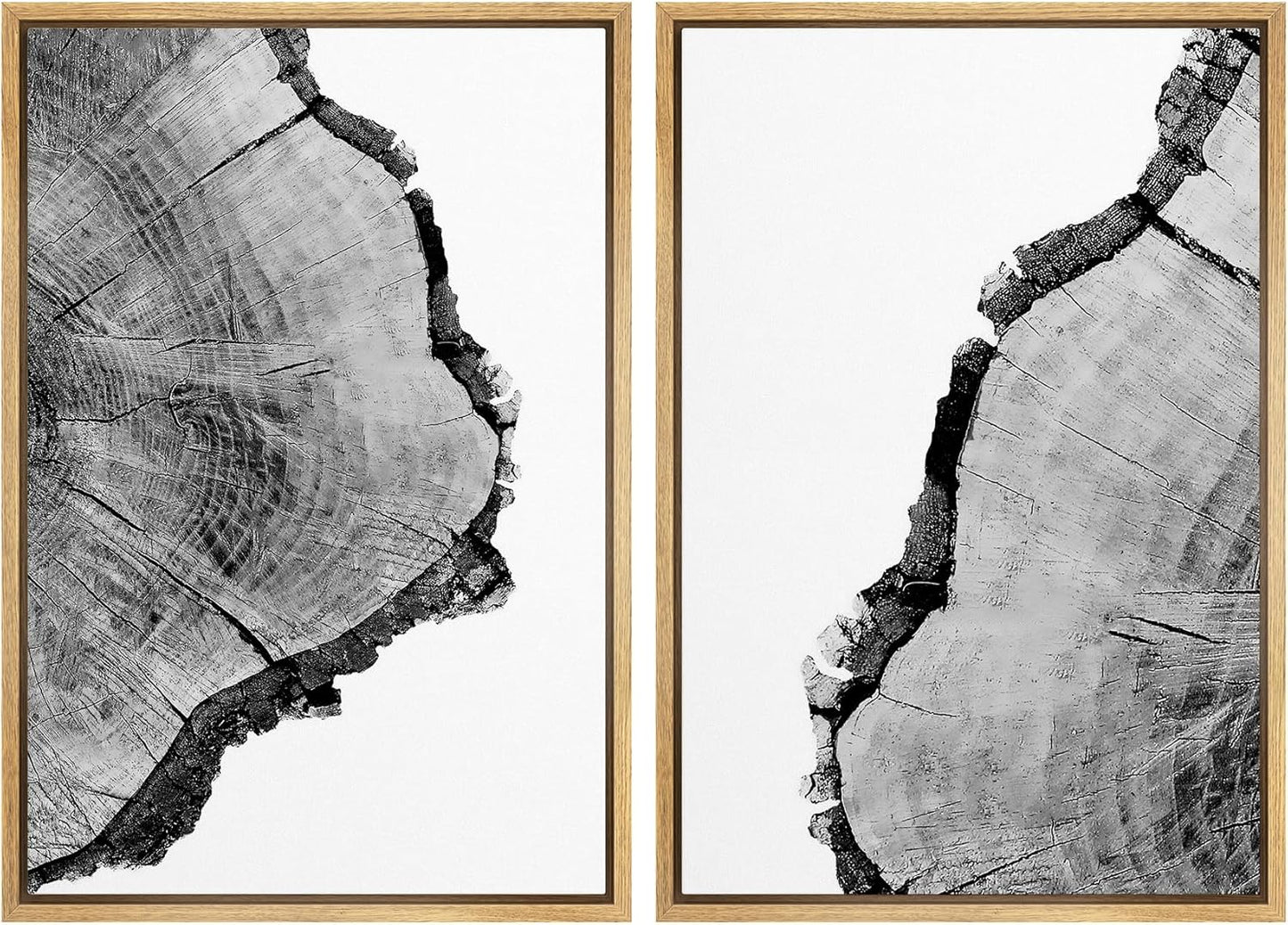 SIGNWIN Framed Wall Art Print Set Black & White Close Up Tree Ring Details Nature Wilderness Photography Modern Art Rustic Relax/Calm Multicolor for Living Room, Bedroom, Office - 24"x36"x2 Natural