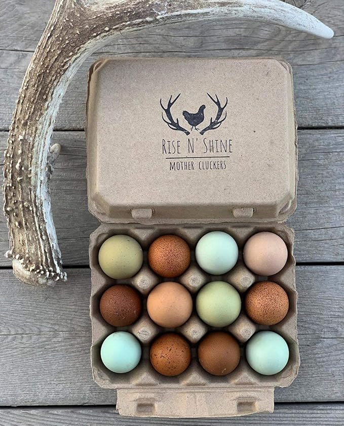 "Vintage Egg Cartons for 12 Large Eggs – Classic 3x4 Layout – Durable Recycled Cardboard – Farmhouse Style – Eco-Friendly Packaging - Tan 25 Pack